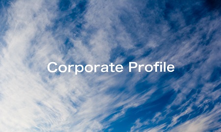 corporate_profile