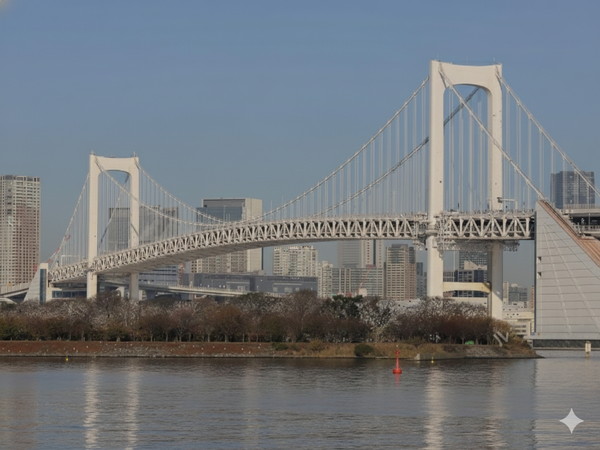 20251207_レインボーライド画像01